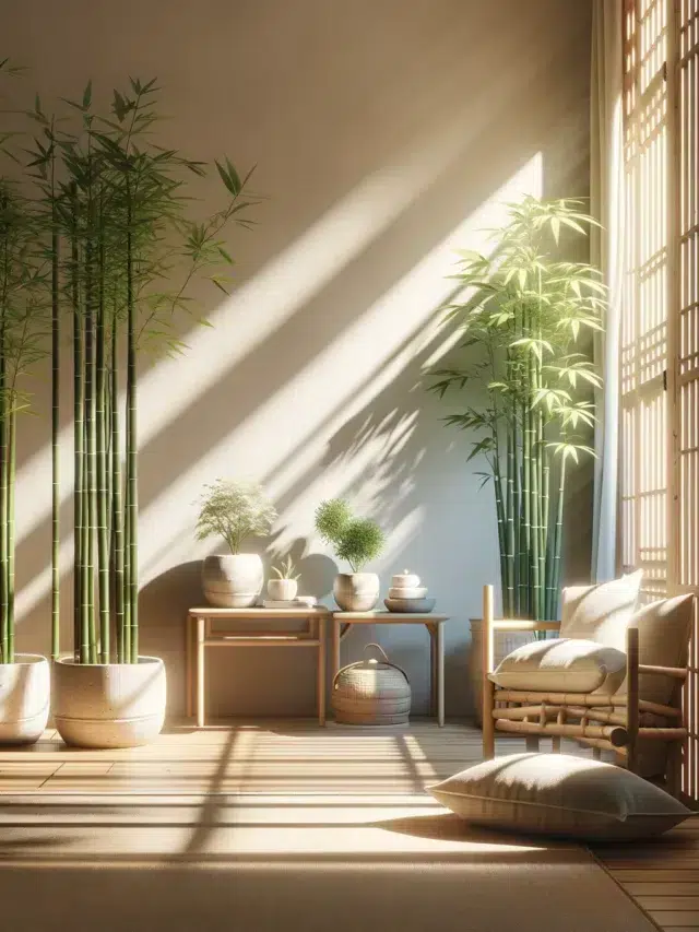 bambu-da-sorte-energias-positivas-no-lar-story